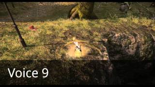 FFXIVARR Combat Voices  Female Hyur Midlander 610 [upl. by Atnahsal]