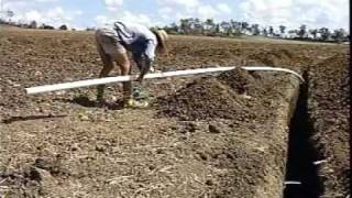 Australia Sugar cane Irrigating [upl. by Jacklin]