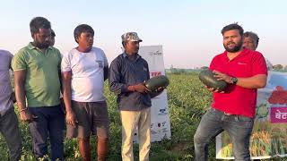 Seminis Dilkash amp Khaas Watermelon Hazaribagh [upl. by Ykcim]