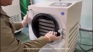 Freeze Dryer Lyophilizer Lyophilization Homefreezedrying Lyophilization [upl. by Cadmar]