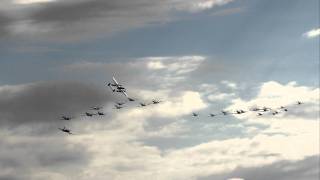 Duxford Flying Legends 2011 Balbo [upl. by Ardine]