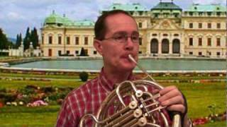 Mozart Horn Concerto No 1 2nd Mvnt Steve Park  Horn [upl. by Berner]