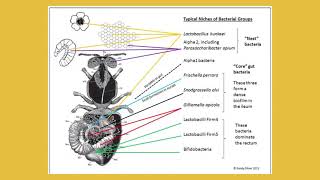 The Times They are a Changin Randy Oliver NY Bee Wellness [upl. by Hgeilyak]