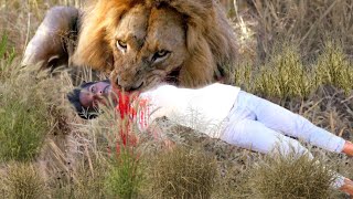 Lion Attack Man in Forest  Lion Attack Hunter  Lion Attack Stories Part 2 [upl. by Chew]