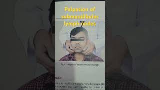 palpation of submandibular lymph nodes [upl. by Oibaf497]