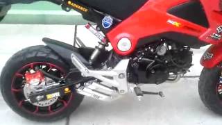 Honda Grom MSX125 IXIL Dual Hyperlow Full Exhaust Low Mount [upl. by Asimaj]