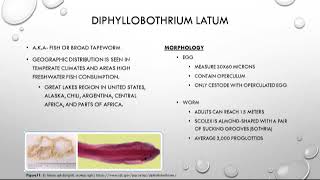 Cestoda 3 of 3 [upl. by Orit]