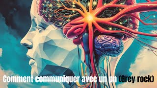 Comment communiquer avec un PN Grey rock [upl. by Idonna]