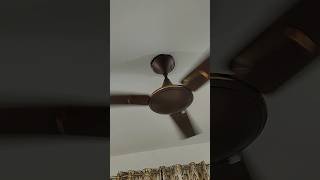 Crompton Ceiling Fan Noise 😩 fan fansound shortvideos shorts viral [upl. by Aisyle773]