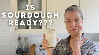 How To Know When Your Sourdough Starter is Ready For Baking [upl. by Accever254]