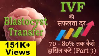 IVF की सफलता दर 7080  तक कैसे हासिल करे  Part 3  Blastocyst Transfer [upl. by Libbey510]