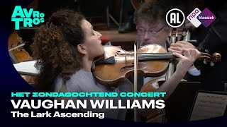 Vaughan Williams The Lark Ascending  Liza Ferschtman amp Radio Filharmonisch Orkest  Live HD [upl. by Ateinotna785]