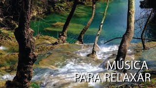 Música Para Dormir 🎵 Som de Pássaros e Natureza  Sono Perfeito [upl. by Ahsotan]