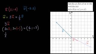 Coordonnées dune combinaison linéaire de deux vecteurs [upl. by Nrubliw632]