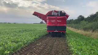 Agrifac Beet Harvester [upl. by Earl293]