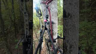 Whitetail Rut heating up in Tennessee archeryhunting whitetails deerhunting whitetailrut [upl. by Eeliram]