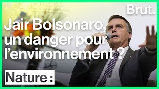 Jair Bolsonaro inquiète les défenseurs de lenvironnement [upl. by Hartzel]