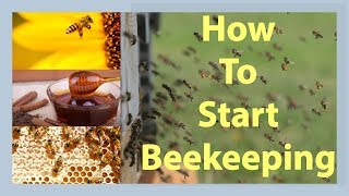 Beekeeping How To Start Beekeeping In 2025 [upl. by Buehrer658]