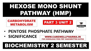 HMP Shunt Pathway  Part 3 Unit 2  biochemistry b pharm 2nd semester  Carewell Pharma [upl. by Olinde]