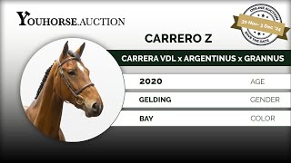 Carrero Z IN THE ‘WINTER EDITION” YOUHORSEAUCTION UNDER THE SADDLE NOVEMBER 30  DECEMBER 3 [upl. by Munsey]