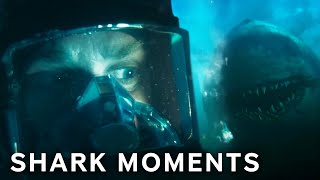 Scariest Shark Moments in The Black Demon 2023  Paramount Movies [upl. by Enimassej]