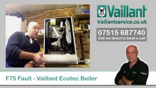 Vaillant Ecotec F75 Fault Code [upl. by Sisile]