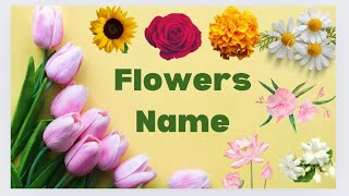 Top 10 Flowers Name  Learn flowers name [upl. by Erlene838]