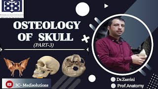 OSTEOLOGY  2 HEAD AND NECK Dr Zarini TUMS iran [upl. by David]