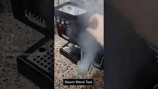 Gaggia Classic Pro Steam Wand Test [upl. by Nicolai274]