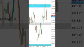 Gold Scalper  Scalping Trading Strategy shorts [upl. by Esiuqram]