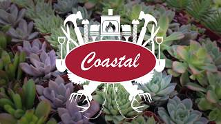 Coastal 101 Planting and Growing Succulents with Linda Woolsey [upl. by Ynneg]