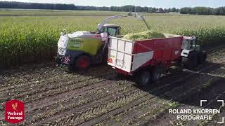 Maishakselen Kramer Wijster amp Verheul Fourage Fendt 611309Claas Jaguar 940 Werklust [upl. by Nainatrad]