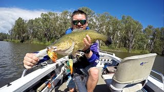 Murray Cod Fishing  Casting Spinnerbaits Do The Trick [upl. by Eniahpets563]