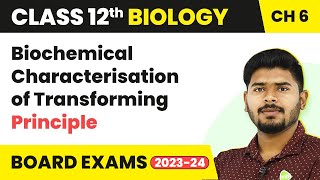 Biochemical Characterisation of Transforming Principle  Molecular Basis of Inheritance  Class 12 [upl. by Anila]