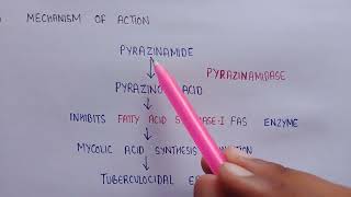 Pyrazinamide in medicinal chemistry  structure of Pyrazinamide  Mechanism of action  uses [upl. by Vachill755]