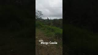 brgycasile cabuyao laguna [upl. by Shah]