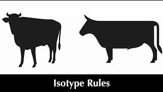 Isotype Rules 242 [upl. by Arnst]