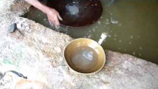 Gold Extraction Process Using Mercury [upl. by Ynwat532]