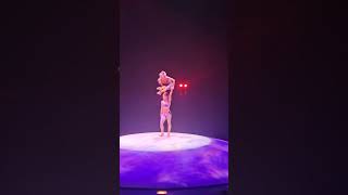 Good Show CIRQUE DU SOLEIL MYSTERE [upl. by Carling]