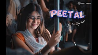 PEETAL  AASHIR WAJAHAT  KASHAF ALI MUSIC VIDEO [upl. by Mcmillan]