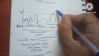 Graded potential vs action potential physiology [upl. by Halivah]