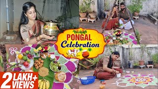 Pongal Celebration  தமிழர் திருநாள்  Festival Vlog  Lakshya Vlogs  Lakshya Junction [upl. by Docila488]