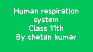 भाग 3 class 11 biology human respiration system by chetan kumar [upl. by Garnette864]