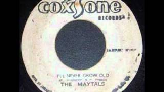 Ill Never Grow Old  The Maytals [upl. by Yekram]