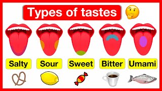 Types of tastes 👅  Salty Sour Sweet Bitter amp Umami  How do we taste 👅  Easy learning video [upl. by Lacie]