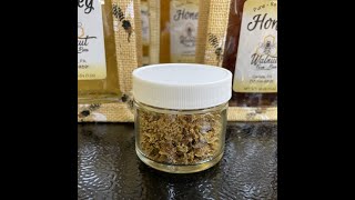 Gathering and Making a Honeybee Propolis Tincture and a Propolis with Raw Honey Throat Spray [upl. by Adnawad]