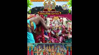 Palani Arulmigu Sri Dhandayudhapani Swami Temple  Kalyanotsavam trendingshorts murugan kalyanam [upl. by Phio]