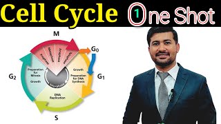 Cell cycle chapter 19 Fsc biology class 12 in one shot [upl. by Nap]