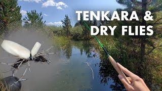 My First Time Fishing with Dry Flies Tenkara Fly Fishing [upl. by Elysia]