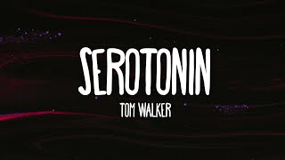 Tom Walker  Serotonin Lyrics [upl. by Goebel210]